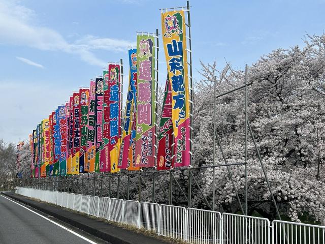大相撲春巡業ぐんま場所相撲のぼり旗が見られます！