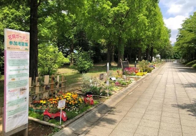 カネコ種苗ぐんまフラワーパーク「春の花育ガーデン」募集のお知らせ