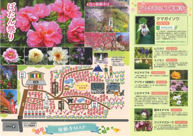 4/24(日)～5/22(日) 龍願寺で「ぼたん祭り」開催！