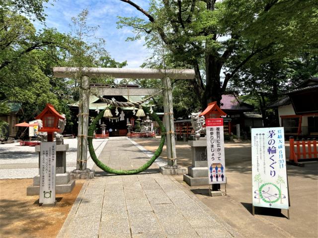 夏越の大祓「茅の輪くぐり」を身近な神社で