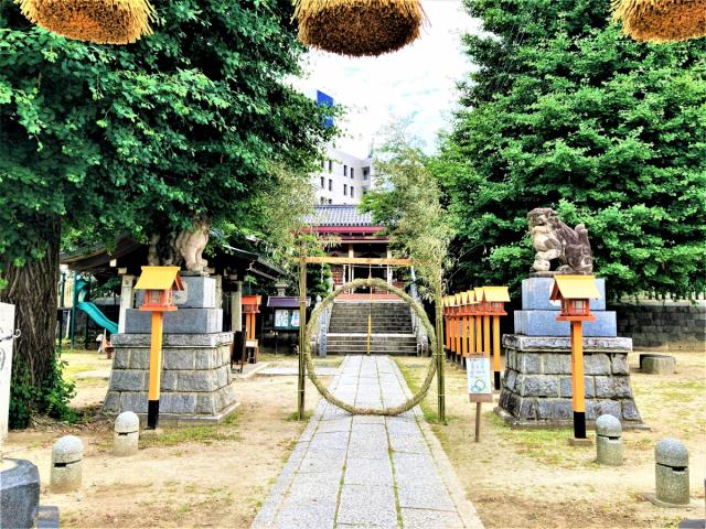 夏越の大祓「茅の輪くぐり」を身近な神社で