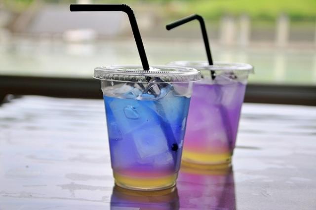 カネコ種苗ぐんまフラワーパークで「蒼の季節」開催中！