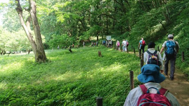 9/5(日)、19(日) 上毛電気鉄道「沿線ハイキング」参加者募集中!