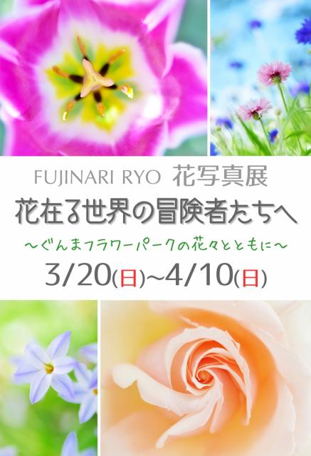 3/20(日)～4/10(日) FUJINARI RYO 花写真展「花在る世界の冒険者たちへ」 ～ぐんまフラワーパークの花々とともに～