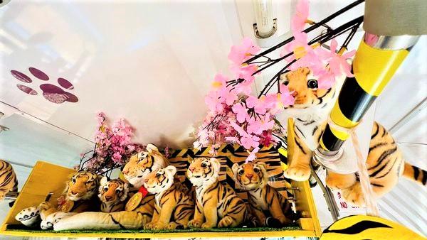 上毛電気鉄道で「桜電車」を運行しています！