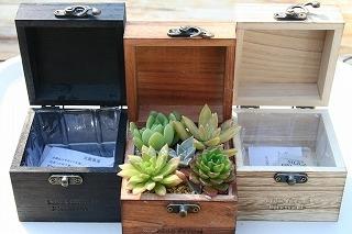 カネコ種苗ぐんまフラワーパークで「多肉植物の寄せ植え体験教室」開催！