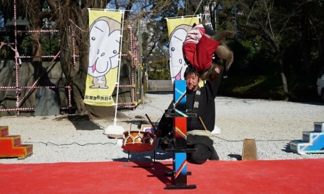 4/30(土)まで カネコ種苗ぐんまフラワーパークで「チューリップフェスタ」開催中！
