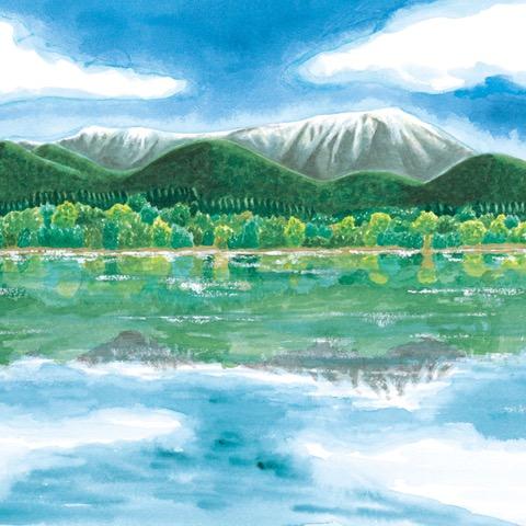 宮沢賢治 絵本原画展「おきなぐさ」開催中