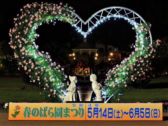 「敷島公園門倉テクノばら園」でライトアップを行っています！