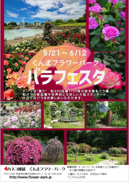 5/21(土)～6/12(日)カネコ種苗ぐんまフラワーパークで「バラフェスタ」開催！