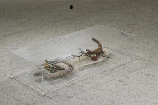 8/6(土)~10/30(日)  アーツ前橋で「Art Meets 07」開催!