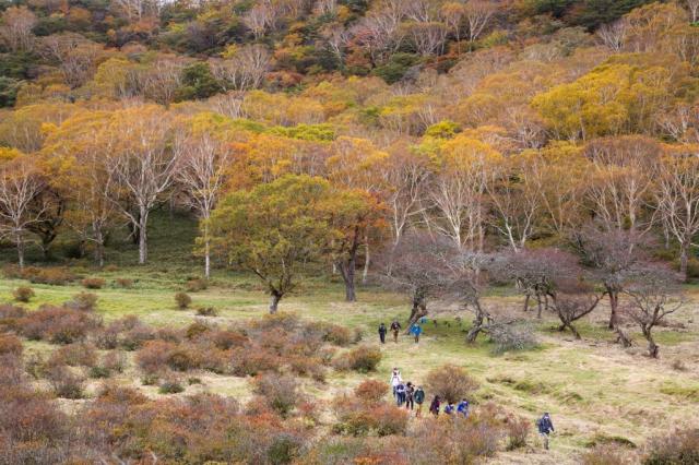 10/17(月)～21(金) 普段は入れない！ 赤城白樺牧場 秘密の絶景ツアー 2022 Autumn 開催！