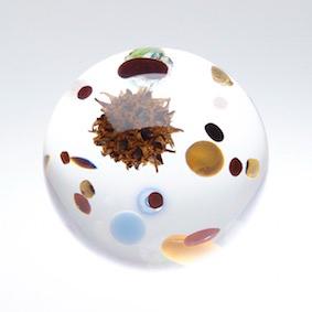 廣瀬智央  作品展「地球はレモンのように青い」開催について