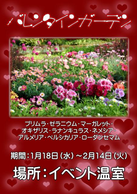 2/14(火)まで カネコ種苗ぐんまフラワーパークで「バレンタインガーデン」開催中！