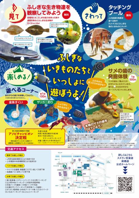 7/19(水) ～8/27(日) スズラン前橋店で「新 遊べる水族園 in 前橋」開催！