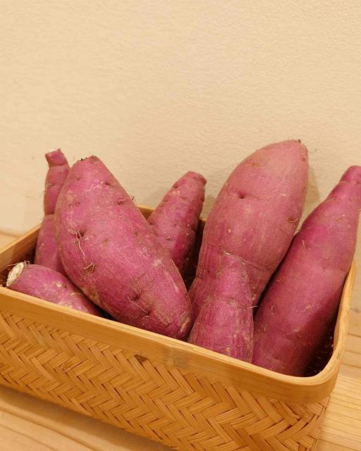 9/9(土) フリッツ・アートセンター中庭で「農窓(ノマド)市」開催!