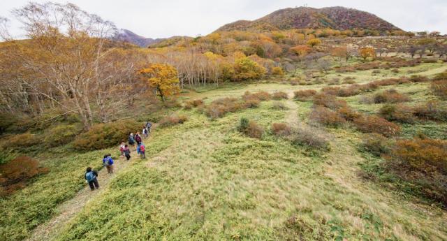 10/16(月)～20(金) 普段は入れない！赤城白樺牧場 秘密の絶景ツアー2023 Autumn 申込み受付開始！