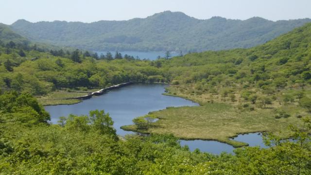 10/15(日) 五輪尾根三山「出張山・薬師岳・陣笠山を巡る初級ハイキングと秋の草花の観察会」参加者募集中！