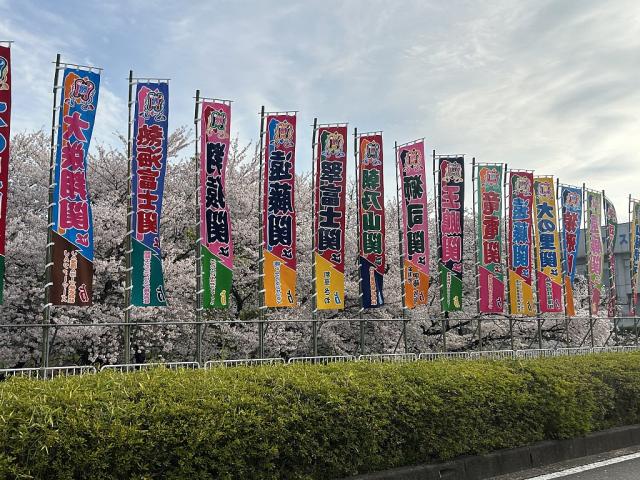 大相撲春巡業ぐんま場所相撲のぼり旗が見られます！