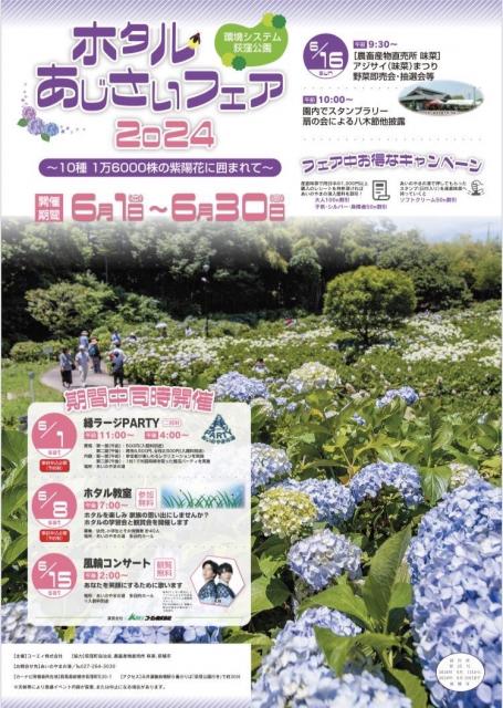 6/30(日)まで環境システム荻窪公園で「環境システム荻窪公園ホタルあじさいフェア 2024」開催中！