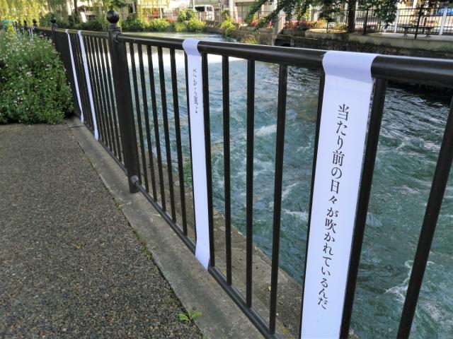 前橋文学館前の朔太郎像とポストにARマーカーが設置されました
