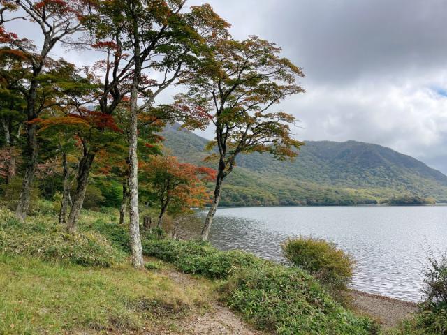 20241015 赤城山 紅葉情報