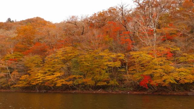 赤城山紅葉情報