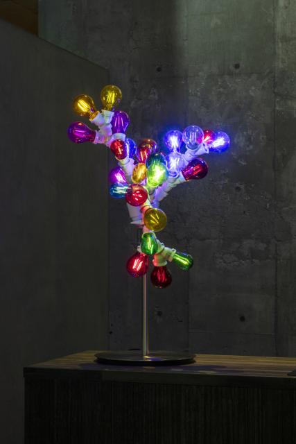 11/15(金)~1/9(木)まで白井屋ホテル x小野田賢三「アートイルミネーション2024:Lichtung」点灯中!