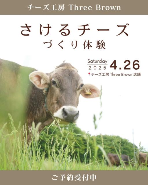 4/26(土)チーズ工房 Three Brown で「さけるチーズづくり体験」申込受付中！
