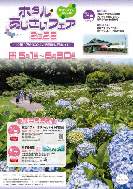 6/1(日)～6/30(月)まで環境システム荻窪公園で「ホタルあじさいフェア 2025」開催！