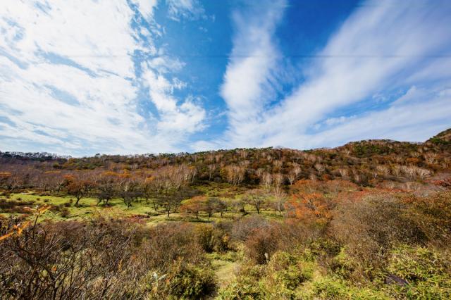 普段は入れない！赤城白樺牧場 秘密の絶景ツアー 2025​ Autumn　申込受付9/18(木)　12:00～！