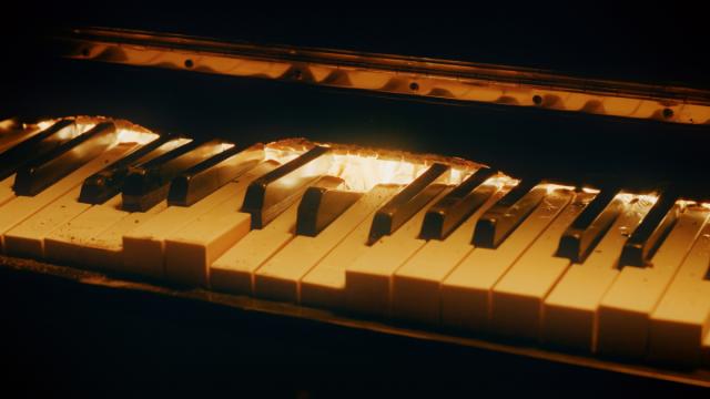 1/24(土)～3/22(日)アーツ前橋で「向井山朋子 Act of Fire」開催！