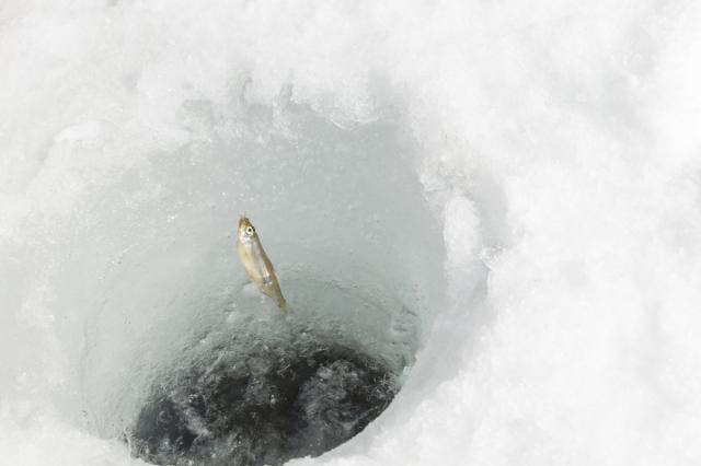 2026年1月15日(木)赤城山 氷上ワカサギ釣り解禁！氷上への立ち入り同日から解禁！