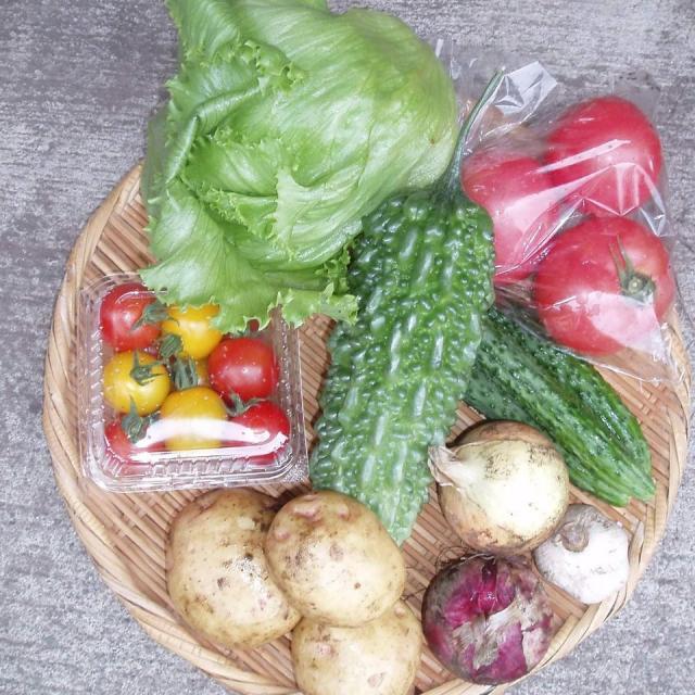 8/15(土) 農窓市(ノマドイチ) 開催！