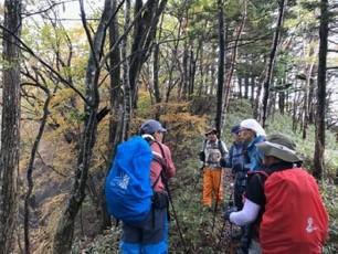 10/24(土) 赤城山環境ガイドボランティア養成講座「燃える紅葉」参加者募集！