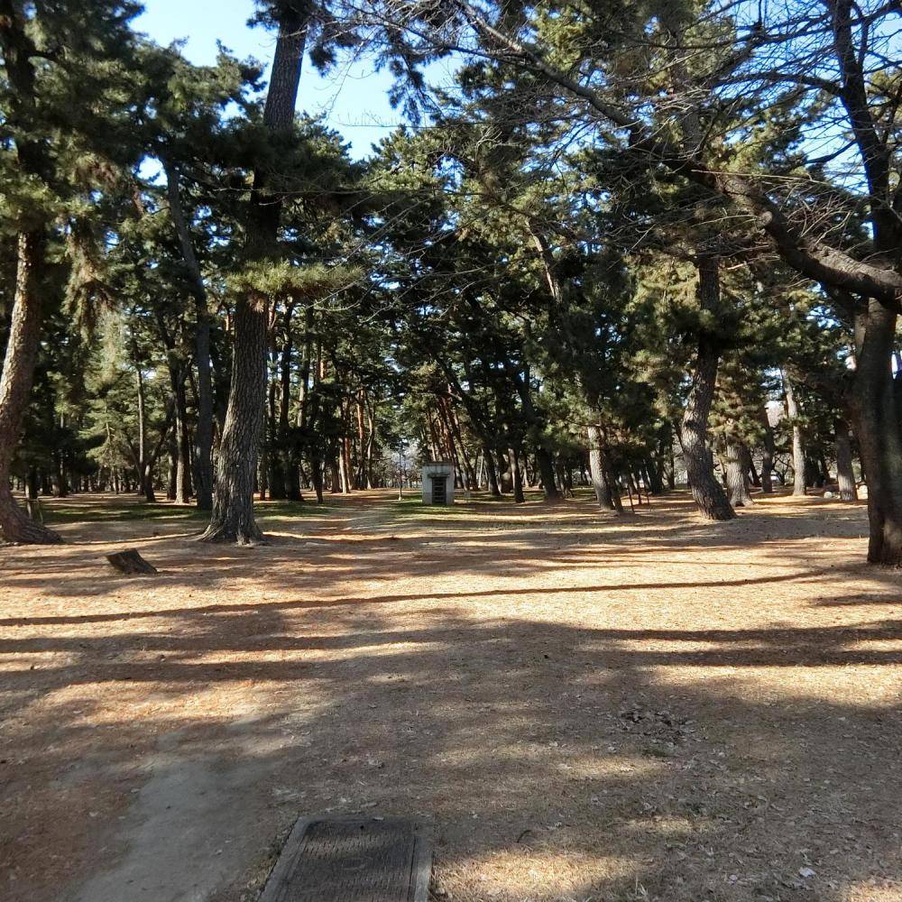 群馬県立敷島公園