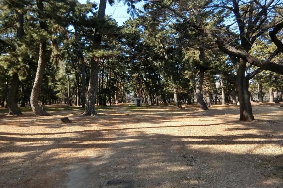 群馬県立敷島公園