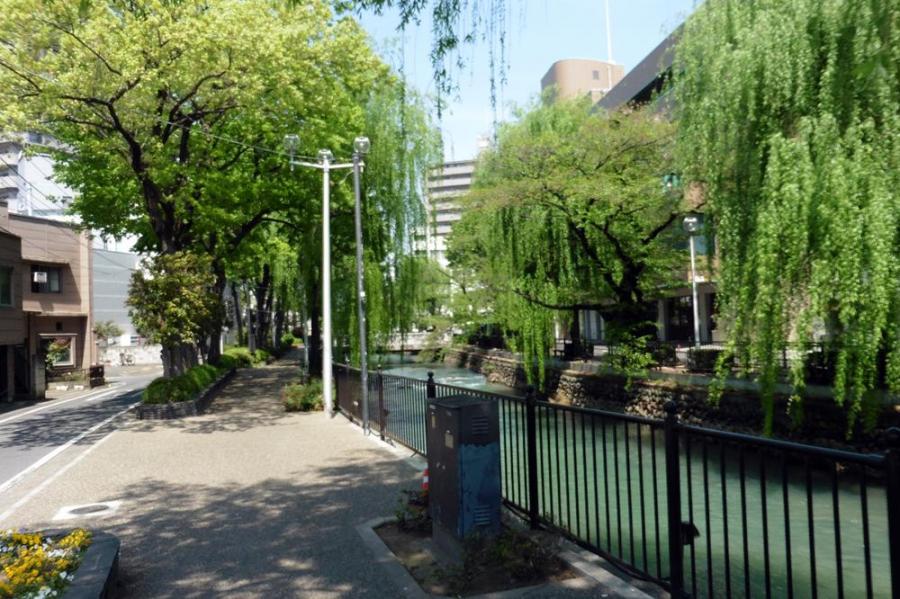 広瀬川周辺