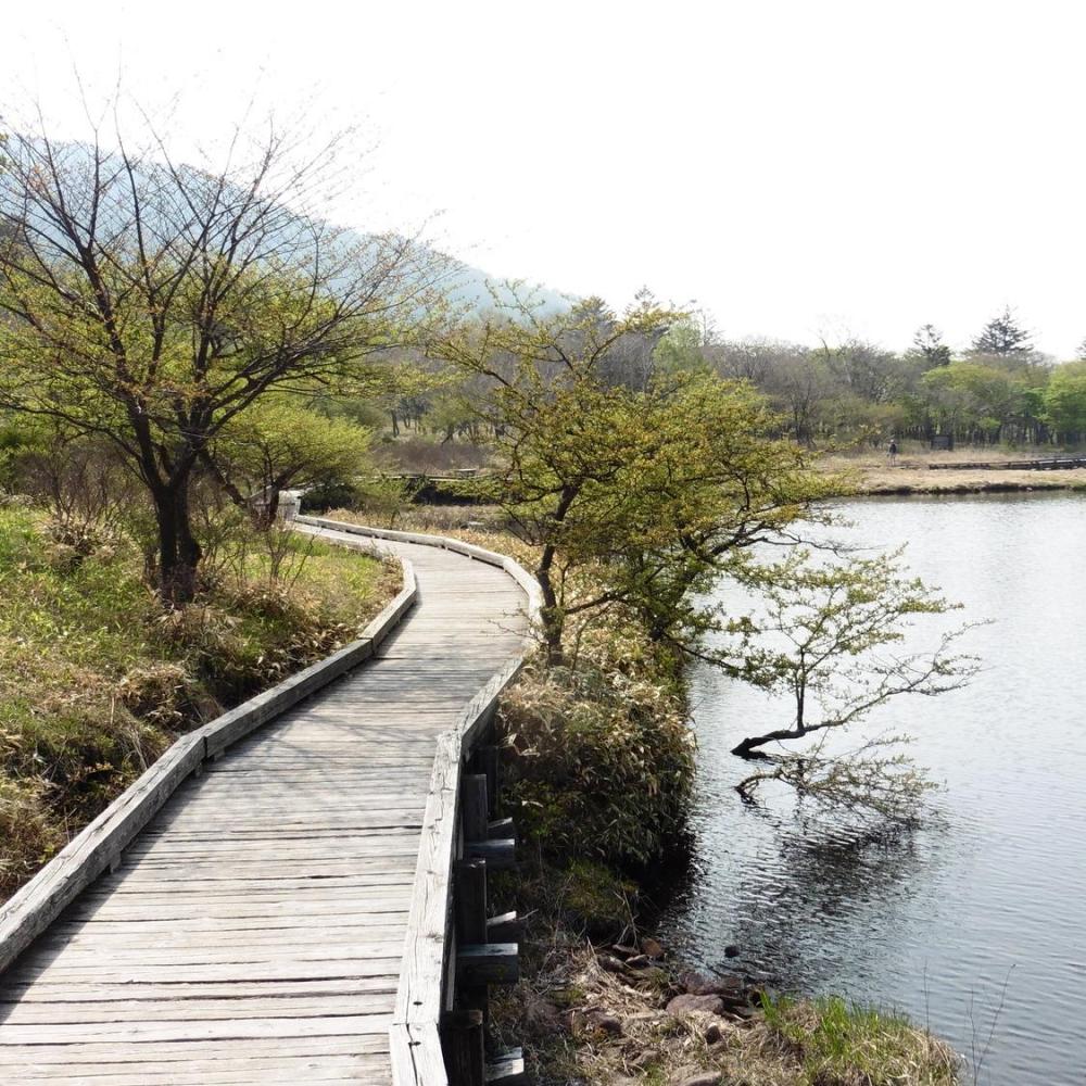 赤城山　覚満淵