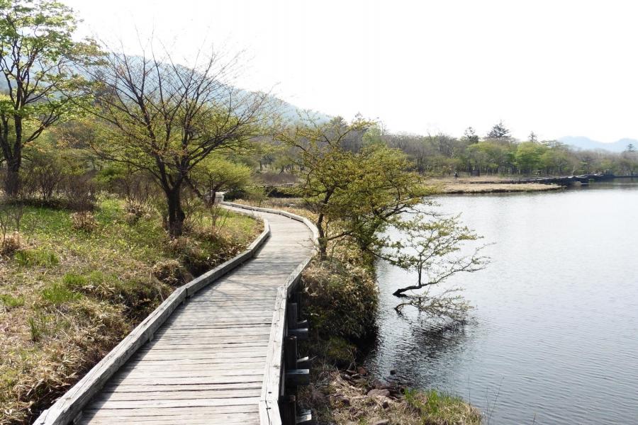 赤城山　覚満淵