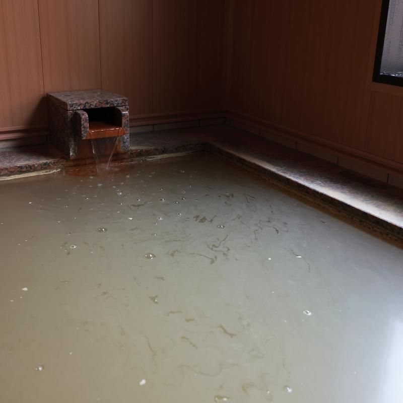 にごり湯の宿 赤城温泉ホテル