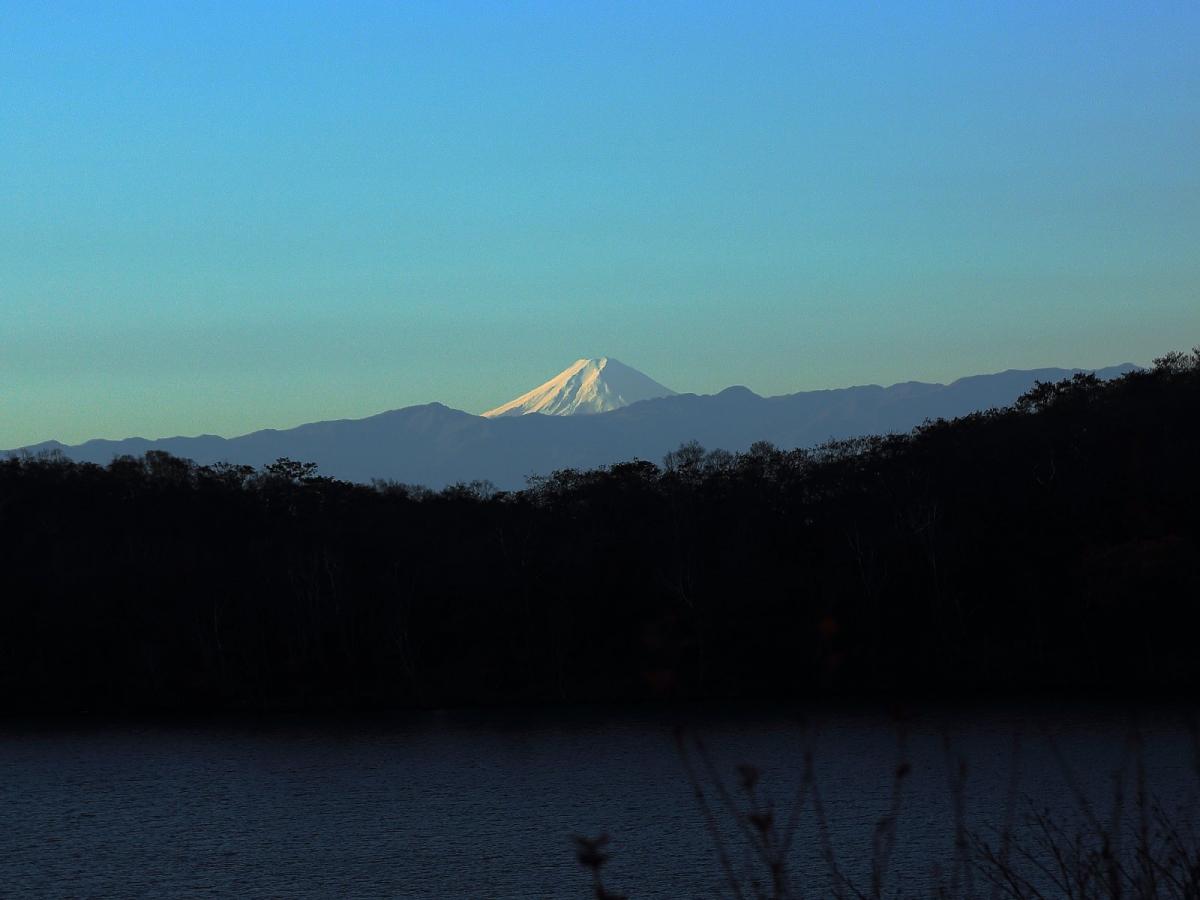 長七郎山登山ルートの途中に富士山スポットがあります