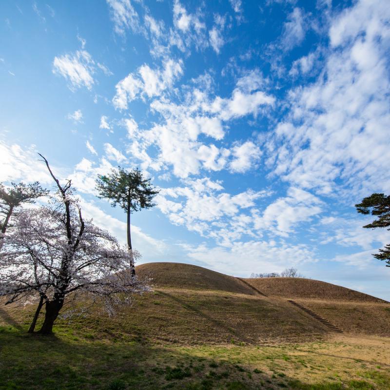 大室古墳群