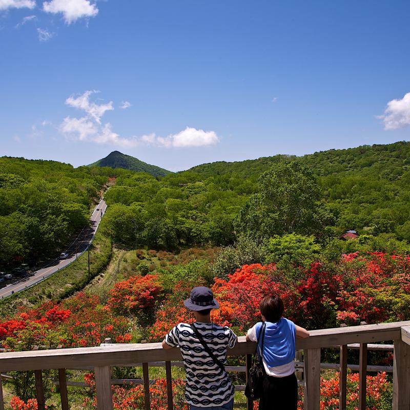 見晴山展望台