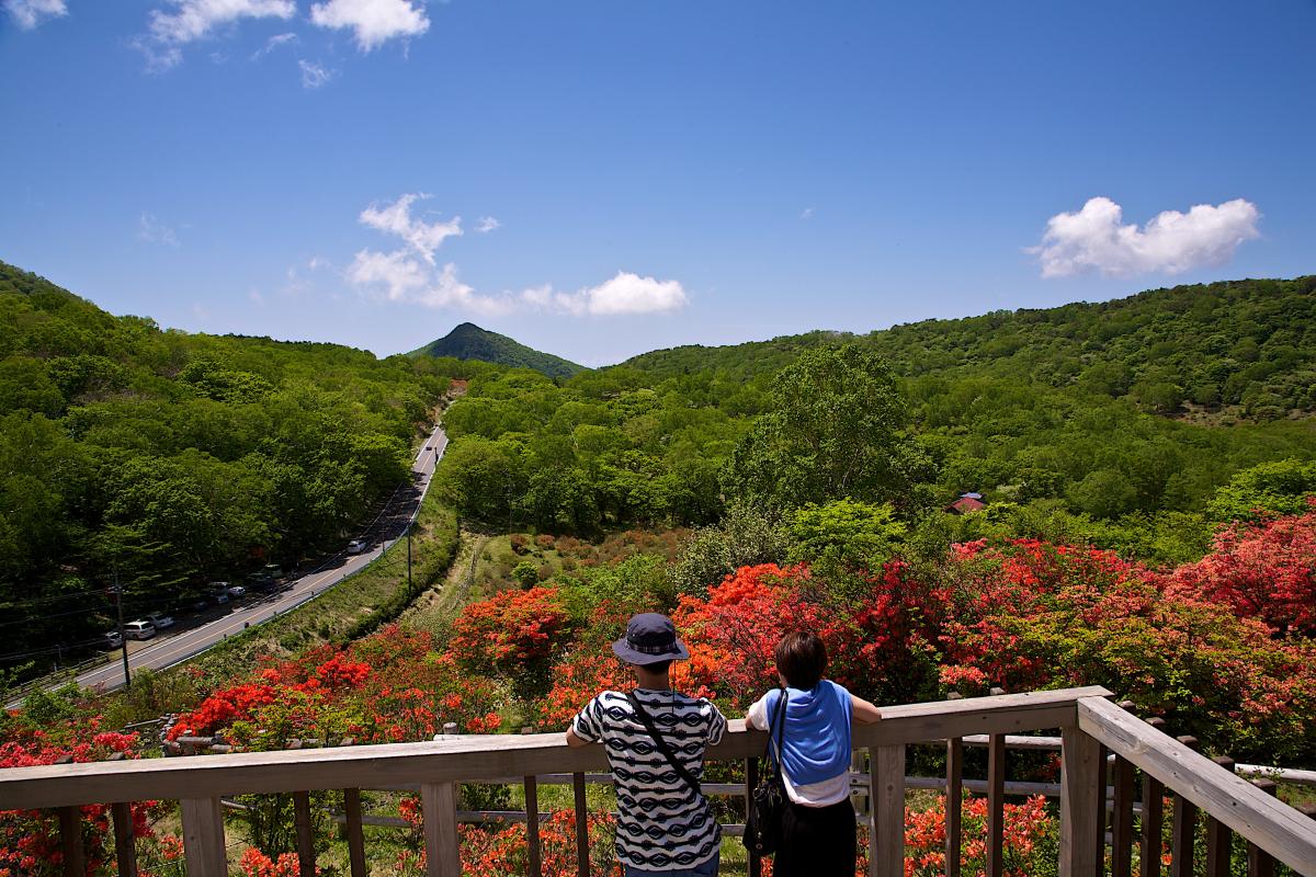 ツツジに囲まれて軽登山