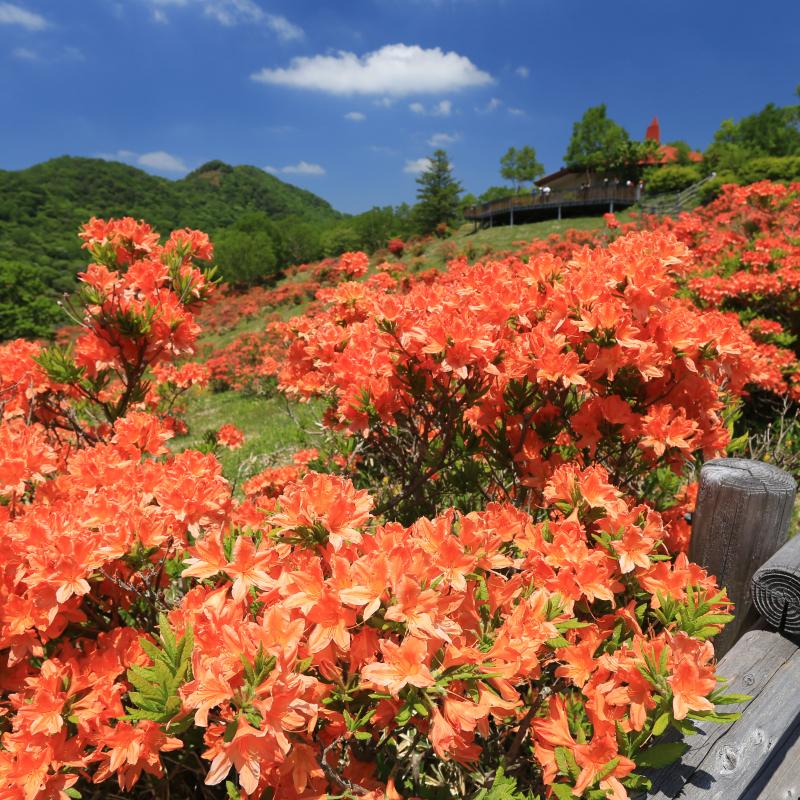赤城山