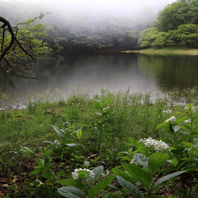 血の池（撮影スポット）