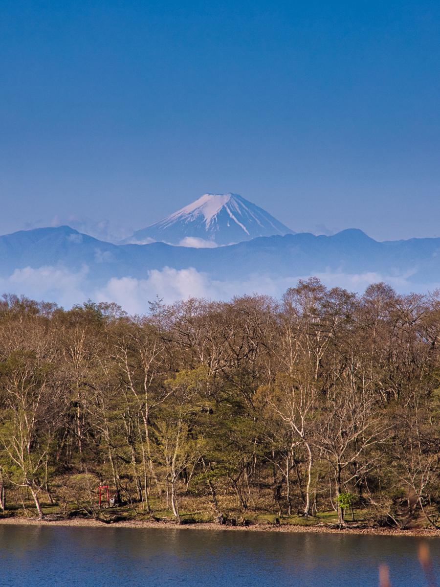 富士山スポットから見える富士山