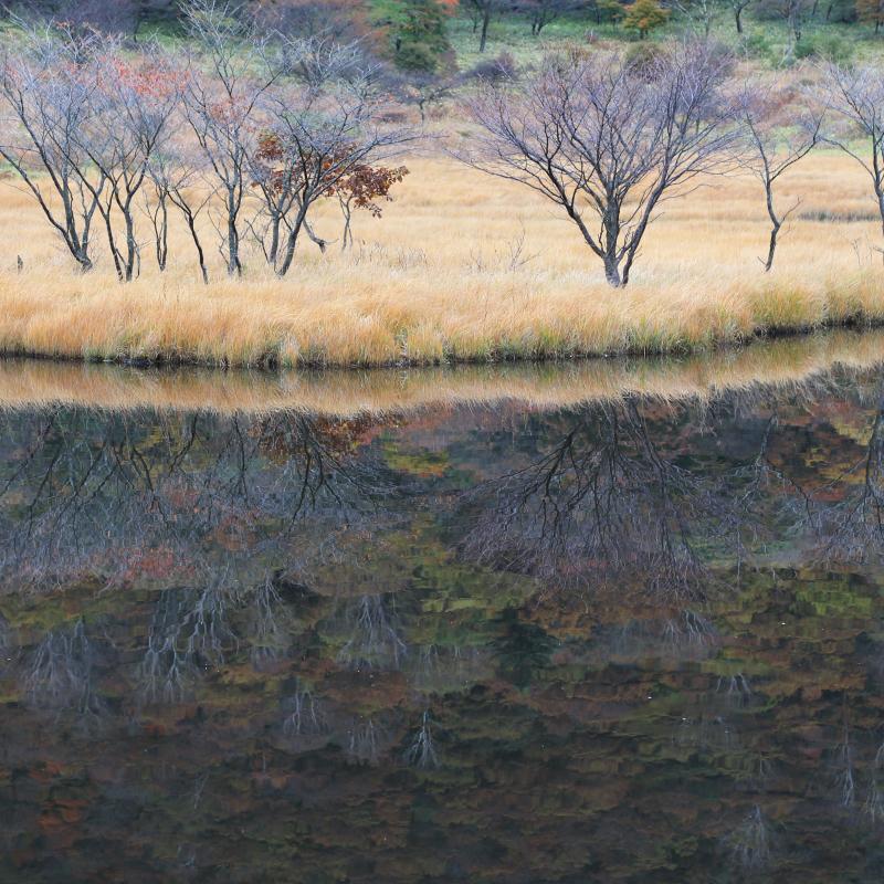 水鏡（撮影スポット）