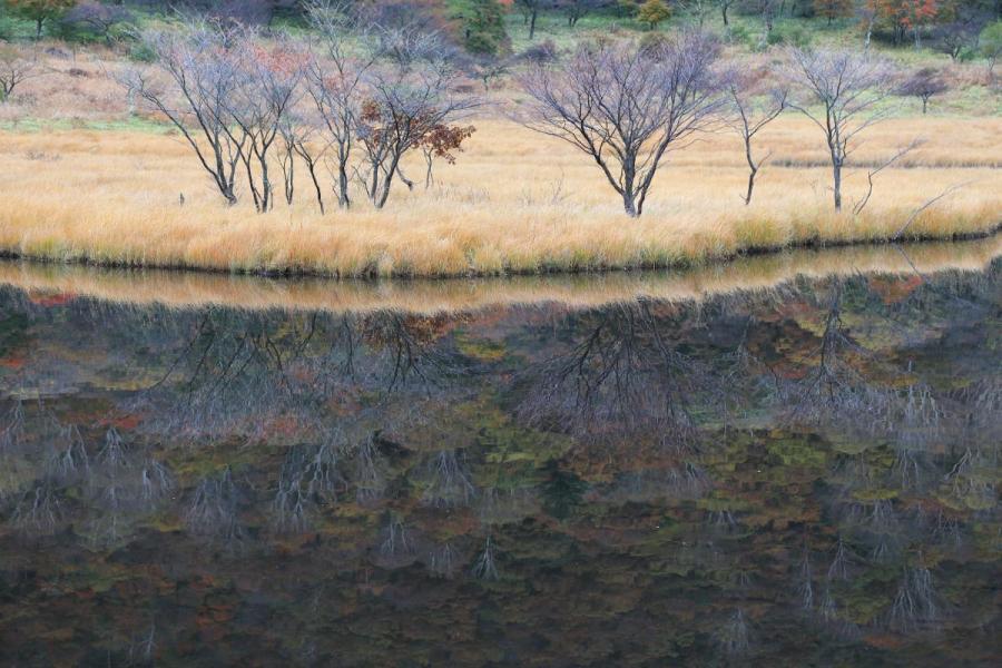 水鏡（撮影スポット）